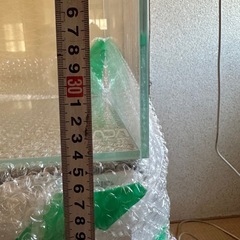 ガラス水槽の画像