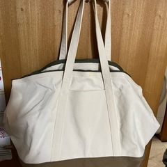 ペットキャリーバック　トートタイプの画像
