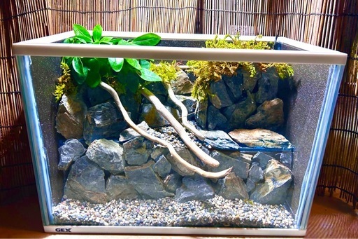 水の流れる滝テラリウム水槽