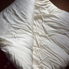 問い合わせ多数の為一旦締め切ります。掛け布団の画像