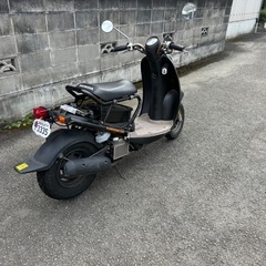 【他人と被らないカスタム‼️】HONDAスクーピー➕ズーマー　4スト50ccの画像
