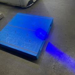 そーたんの画像