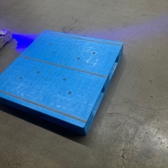 そーたんの画像
