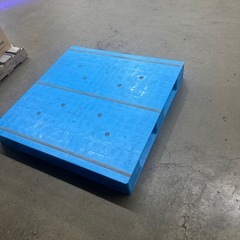 そーたんの画像