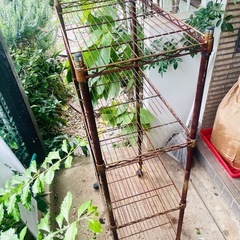 無料　ワイヤーラック　キャスター付き　の画像