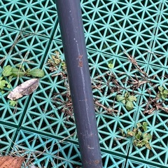 強風を送れる扇風機の画像