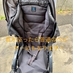 超貴重！チャイルドシート兼ベビーカー！コンビ⭐︎マルチ5wayの画像