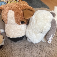犬ぬいぐるみセットの画像