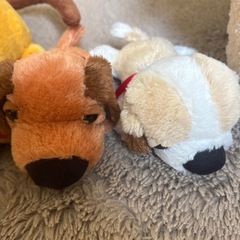 犬ぬいぐるみセットの画像