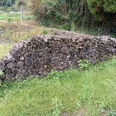 柿の木の薪ストーブ用です！の画像