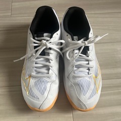 バレーボール シューズの画像
