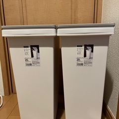 20Lゴミ箱（蓋付き）×2　ベランダ用・分別に！の画像