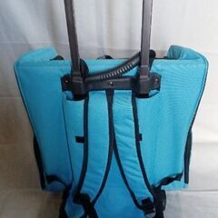 【犬猫用　美品】ペットキャリー（リュックにもなります）の画像