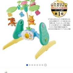 プーメリー+歩行器+手押し車兼バイク(個別も可ですがセットで引き取ってくれる方優先)の画像