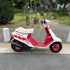 実働　ヤマハ チャンプ54v チャンプスペシャルの画像