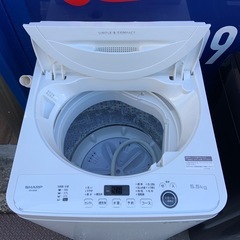 2021年製　シャープ　全自動洗濯機　5.5kp ES-GE5Eの画像