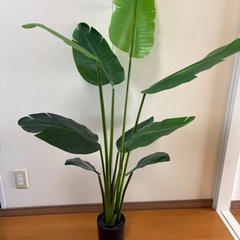 フェイク観葉植物の画像