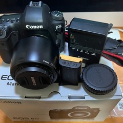 Canon EOS 6D Mark II + EF85mm F1.8 USMの画像