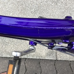 🚴bd1 riese und mullerの画像