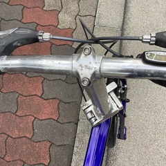 🚴bd1 riese und mullerの画像