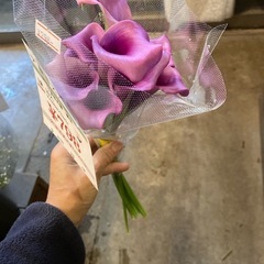 紫カラー10本で
