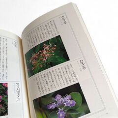 「花おりおり」　身近な草木や花の本の画像