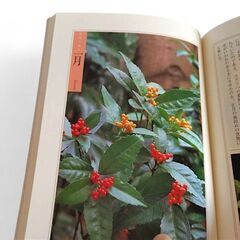 「花おりおり」　身近な草木や花の本の画像