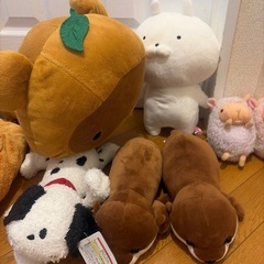 ぬいぐるみいろいろの画像