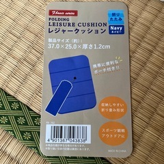 レジャークッションの画像