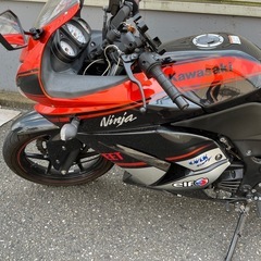 Ninja250Rの画像