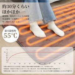 電気カーペット 1畳 180×80cm ダニ退治機能 電気毛布 敷き シングル 6段階温度調節&タイマー機能付き 丸洗い可 ホットカーペット兼用可 頭寒足熱配線 PSE認証済みの画像