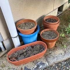 植木鉢　大量の画像