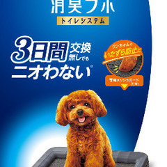犬　トイレ　デオシートの画像