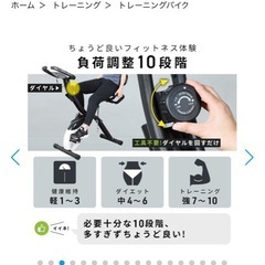 HAIGE フィットネスバイク　エアロバイクの画像