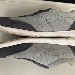 レディース23.5センチスニーカー　ヨーカ堂の画像