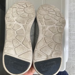 レディース23.5センチスニーカー　ヨーカ堂の画像