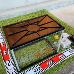 水槽セット（メダカ・金魚）の画像