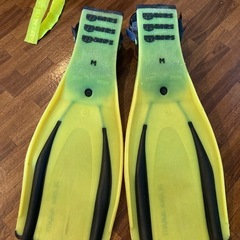 【無料】フィン Mサイズ 中古ですの画像