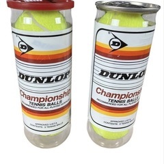 廃盤 ダンロップ DUNLOP ATP チャンピオンシップ テニスポーツ テニス 2個セットの画像