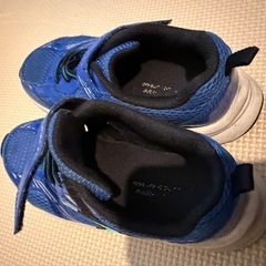 瞬足　18.5センチの画像