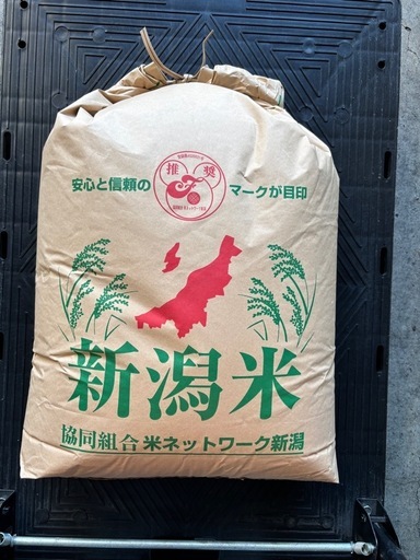 6年産コシヒカリ玄米阿賀野市産一等25kg