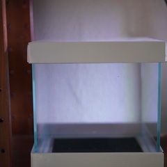 25cm cube 水槽　アクロスーパークリアの画像