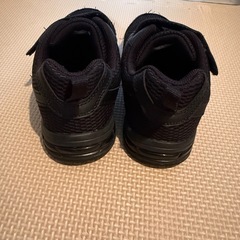 瞬足　21センチの画像