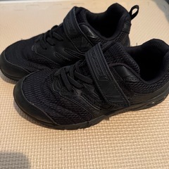 瞬足　21センチの画像