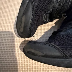 瞬足　21センチの画像