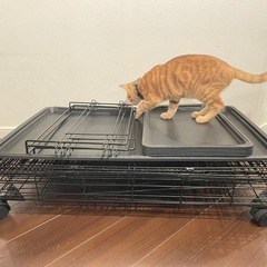 猫ケージ3段の画像