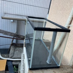 60センチ水槽の画像