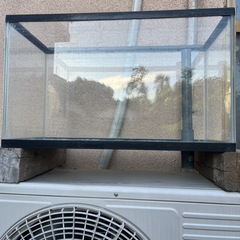60センチ水槽の画像
