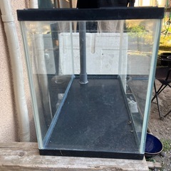 60センチ水槽の画像