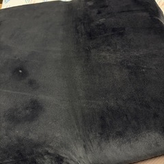 【訳あり無料でお譲りします！】2人がけソファー ぶらブラックの画像